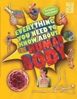 Everything You Need To Know About The Human Body 1