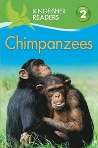 bokomslag Kingfisher Readers: Chimpanzees (Level 2 Beginning to Read Alone)