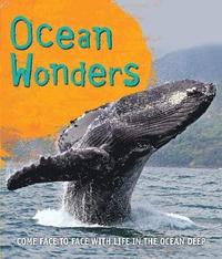 bokomslag Fast Facts! Ocean Wonders