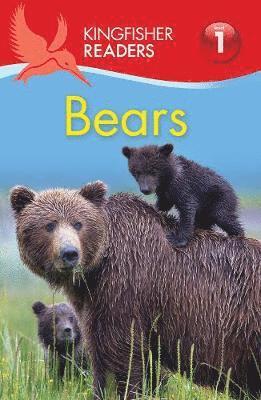 bokomslag Kingfisher Readers: Bears (Level 1: Beginning to Read)