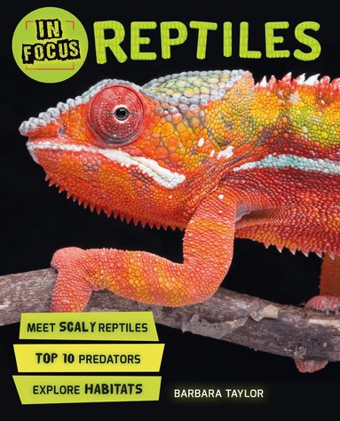 Barbara Taylor - In Focus: Reptiles, Häftad