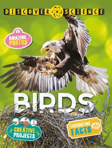 Kingfisher, Nicola Davies - Discover Science: Birds, Häftad