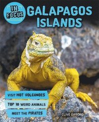 bokomslag In Focus: Galapagos Islands