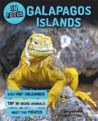bokomslag In Focus: Galapagos Islands