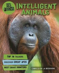 bokomslag In Focus: Intelligent Animals
