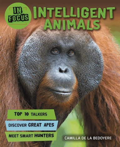 In Focus: Intelligent Animals, Häftad