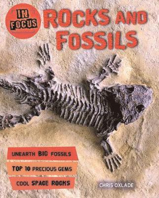 bokomslag In Focus: Rocks and Fossils