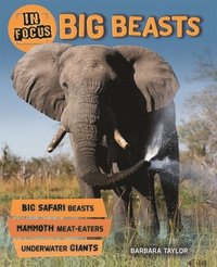 bokomslag In Focus: Big Beasts