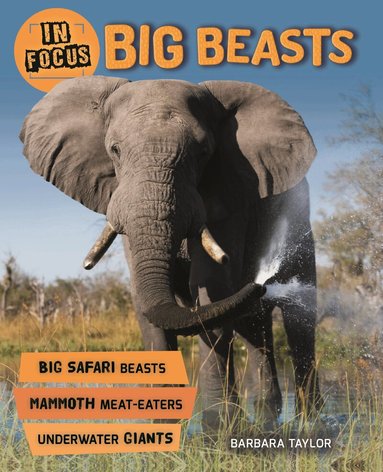 Barbara Taylor - In Focus: Big Beasts, Häftad
