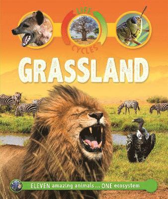 Life Cycles: Grassland 1