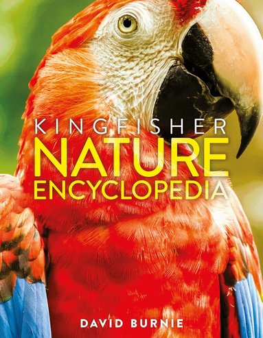 David Burnie - The Kingfisher Nature Encyclopedia, Inbunden