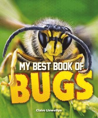 bokomslag My Best Book of Bugs