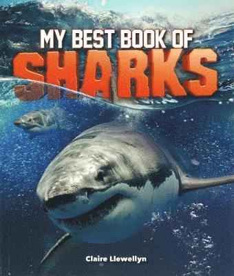 bokomslag My Best Book of Sharks