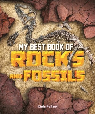 bokomslag My Best Book of Rocks and Fossils