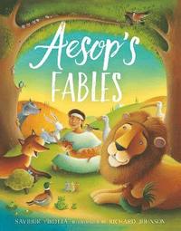 bokomslag Aesop's Fables