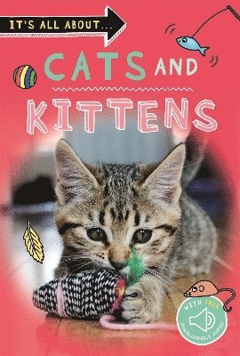 Kingfisher - It's All About... Cats and Kittens, Häftad