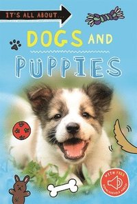 bokomslag It's All about... Dogs and Puppies