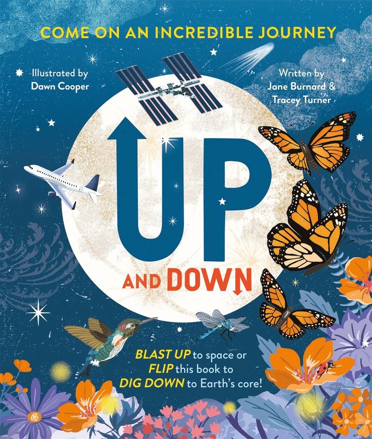 Tracey Turner, Jane Burnard - Up and Down, Inbunden