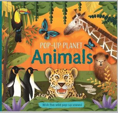 bokomslag Pop-Up Planet: Animals