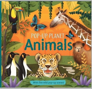 bokomslag Pop-Up Planet: Animals