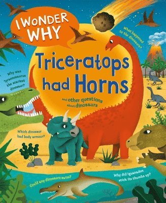 I Wonder Why Triceratops Had Horns 1
