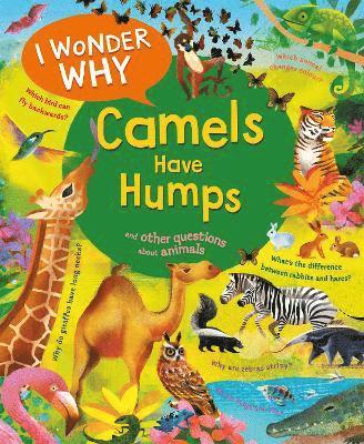 bokomslag I Wonder Why Camels Have Humps