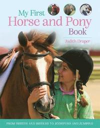 bokomslag My First Horse and Pony Book