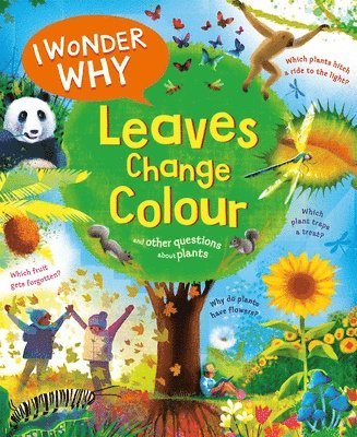 Andrew Charman - I Wonder Why Leaves Change Colour, Häftad