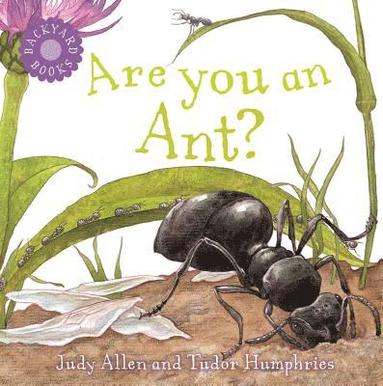 Judy Allen - Are You An Ant?, Häftad