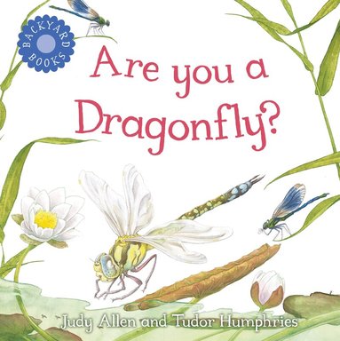 Judy Allen - Are You A Dragonfly?, Häftad