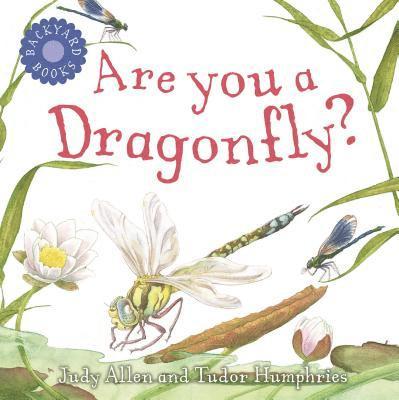 Are You A Dragonfly? 1