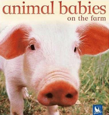 Kingfisher Books - Animal Babies on the Farm, Kartonnage