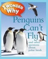 Pat Jacobs - Jacobs, P: I Wonder Why Penguins Can't Fly, Häftad