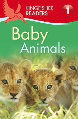 Feldman, T: Baby Animals, Häftad