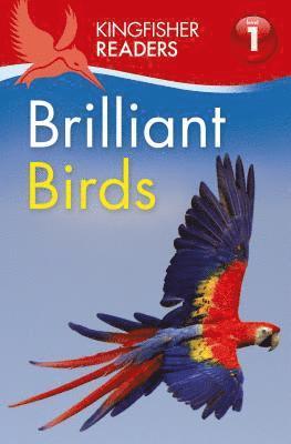 bokomslag Kingfisher Readers L1: Brilliant Birds