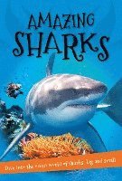 bokomslag It's All About... Amazing Sharks: Everything You Want to Know about These Sea Creatures in One Amazing Book
