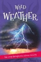 It's All About... Wild Weather 1