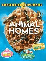 Angela Wilkes - Discover Science: Animal Homes, Häftad