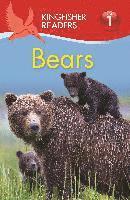 bokomslag Kingfisher Readers L1: Bears