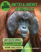 In Focus: Intelligent Animals 1