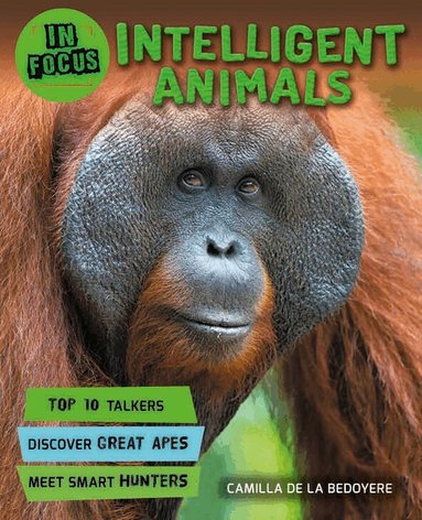 Camilla De La Bedoyere - In Focus: Intelligent Animals, Häftad