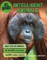 bokomslag In Focus: Intelligent Animals