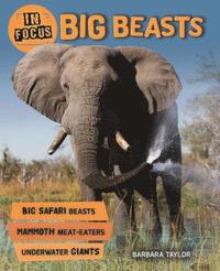 bokomslag In Focus: Big Beasts