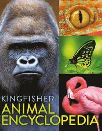 bokomslag The Kingfisher Animal Encyclopedia