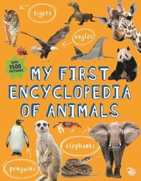 bokomslag My First Encyclopedia Of Animals