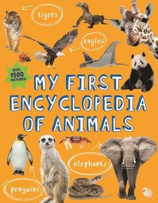 My First Encyclopedia Of Animals 1