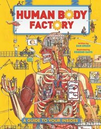 bokomslag The Human Body Factory: A Guide to Your Insides