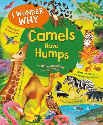 I Wonder Why Camels Have Humps 1