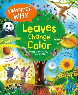 Andrew Charman - I Wonder Why Leaves Change Color, Inbunden