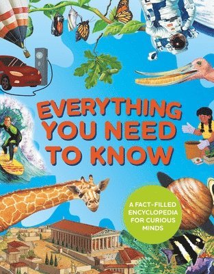 Barbara Taylor, Philip Steele, Deborah Murrell, Deborah Chancellor - Everything You Need to Know, Inbunden